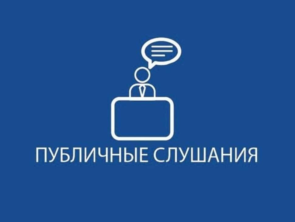 Резолюция публичных слушаний.